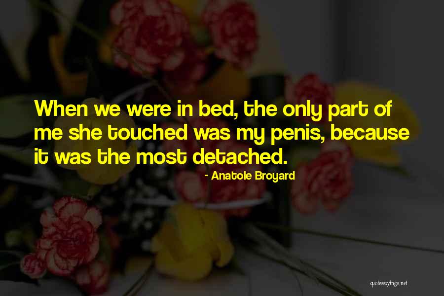 Anatole Broyard Quotes 764865