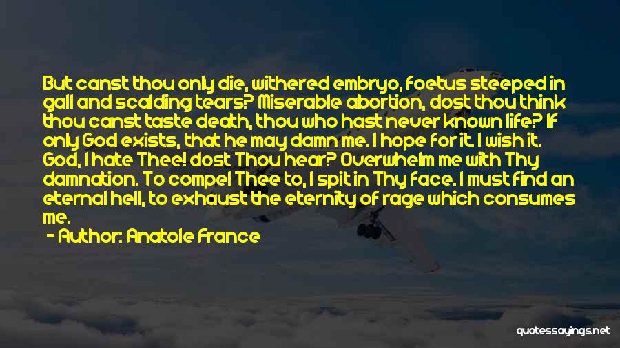 Anatole France Quotes 506264