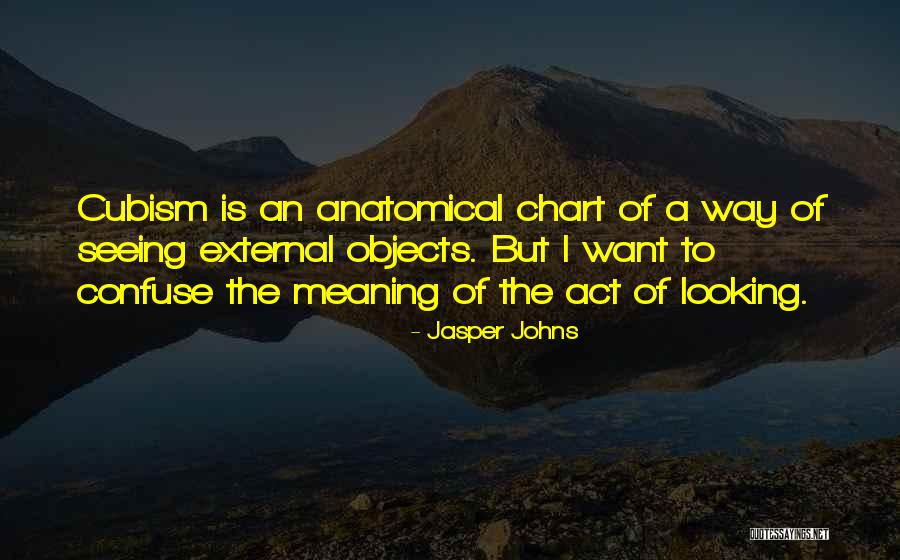 Anatomical Quotes By Jasper Johns Anatomical Quotes By Jasper Johns