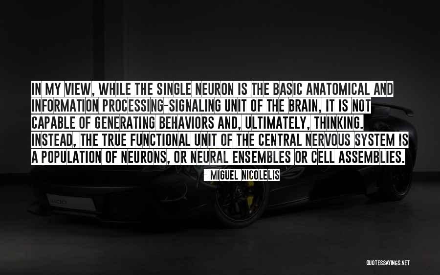 Anatomical Quotes By Miguel Nicolelis