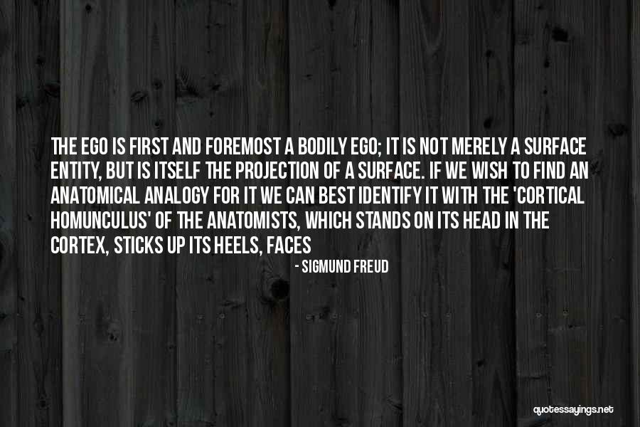 Anatomical Quotes By Sigmund Freud