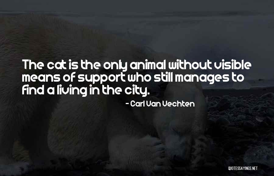 Anayeli Chavez Quotes By Carl Van Vechten Anayeli Chavez Quotes By Carl Van Vechten