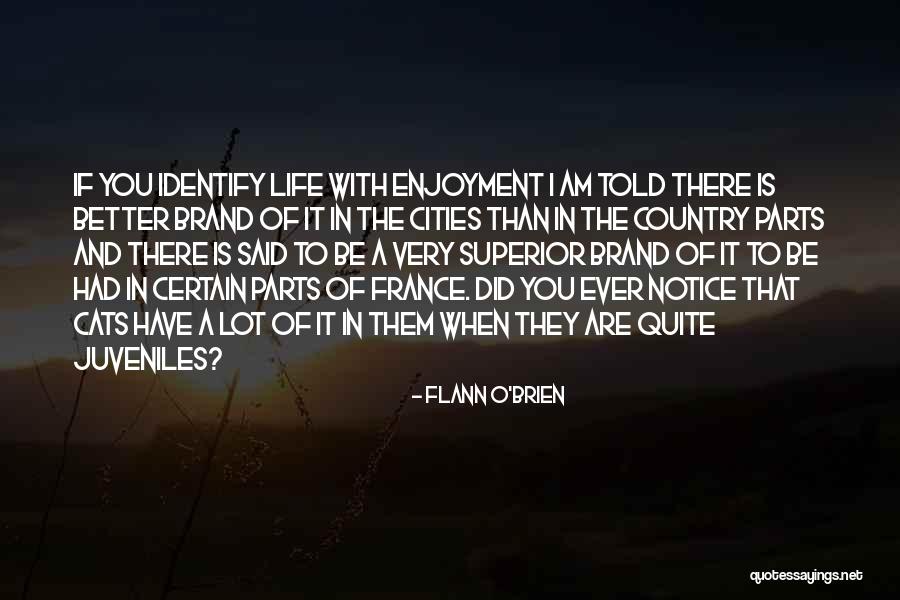 Anberlin A Day Late Quotes By Flann O'Brien Anberlin A Day Late Quotes By Flann O'Brien