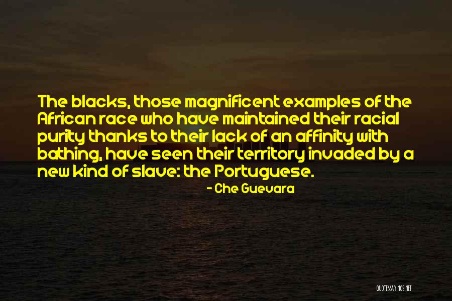 Ancelet Seafood Quotes By Che Guevara Ancelet Seafood Quotes By Che Guevara