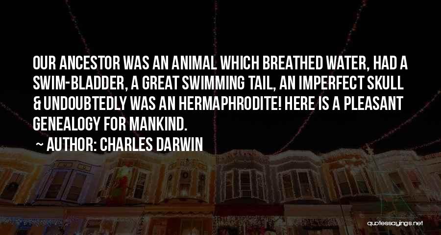 Ancestor Quotes By Charles Darwin