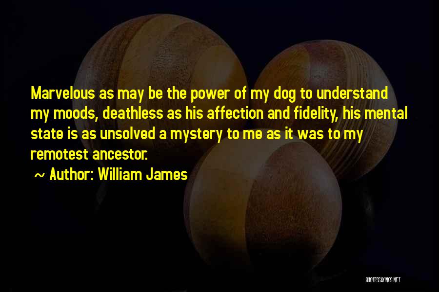 Ancestor Quotes By William James