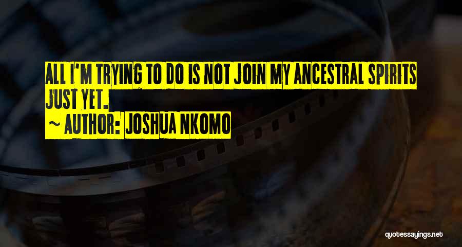 Ancestral Spirits Quotes By Joshua Nkomo
