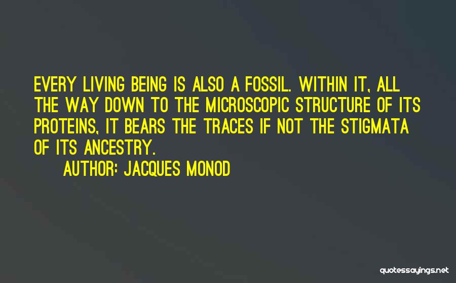 Ancestry Quotes By Jacques Monod
