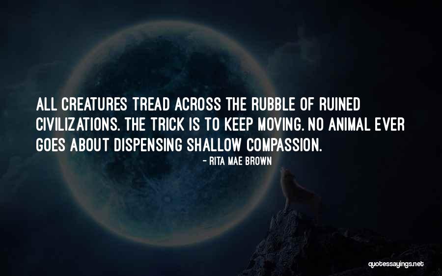 Anchas Departamento Quotes By Rita Mae Brown Anchas Departamento Quotes By Rita Mae Brown
