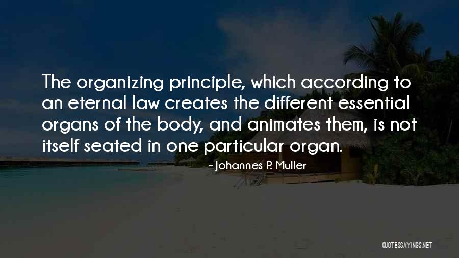 Anchohol Quotes By Johannes P. Muller Anchohol Quotes By Johannes P. Muller