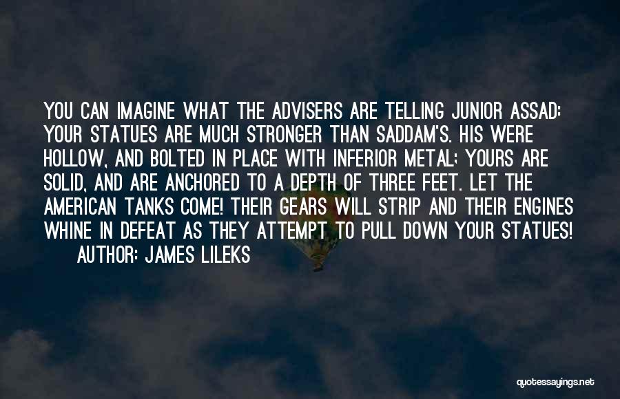 Anchored Down Quotes By James Lileks