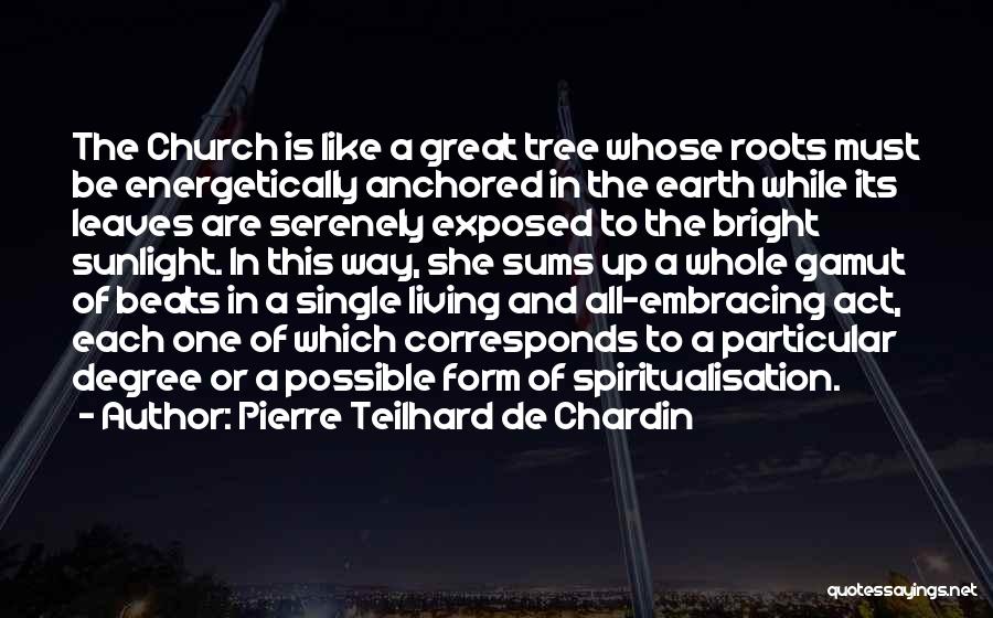 Anchored Quotes By Pierre Teilhard De Chardin
