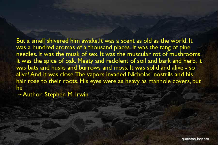 Ancient God Quotes By Stephen M. Irwin