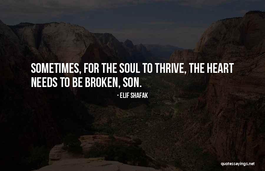 Ancient Greek Wisdom Quotes By Elif Shafak Ancient Greek Wisdom Quotes By Elif Shafak