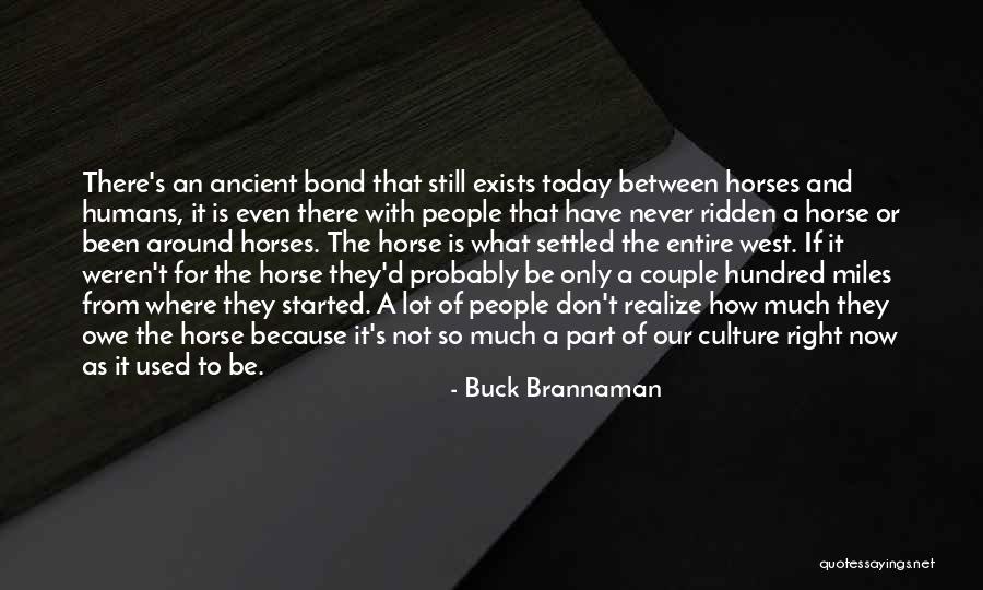 Ancient Horse Quotes By Buck Brannaman Ancient Horse Quotes By Buck Brannaman