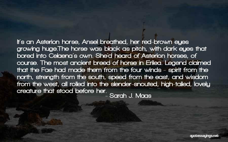 Ancient Horse Quotes By Sarah J. Maas Ancient Horse Quotes By Sarah J. Maas