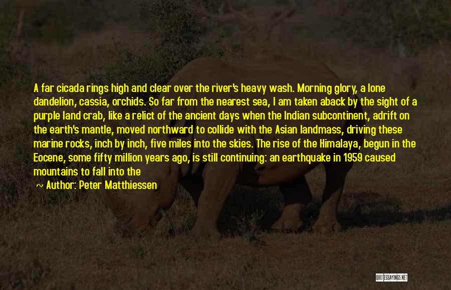 Ancient India Quotes By Peter Matthiessen