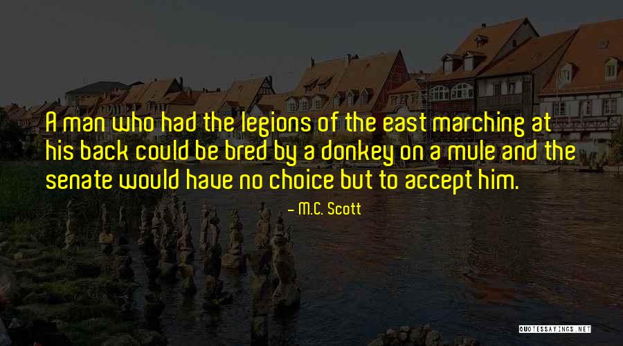 Ancient Roman Empire Quotes By M.C. Scott