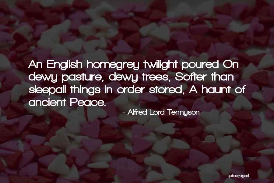 Ancient Trees Quotes By Alfred Lord Tennyson Ancient Trees Quotes By Alfred Lord Tennyson