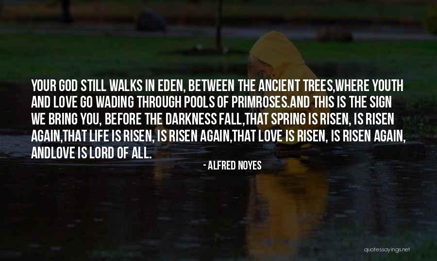 Ancient Trees Quotes By Alfred Noyes Ancient Trees Quotes By Alfred Noyes
