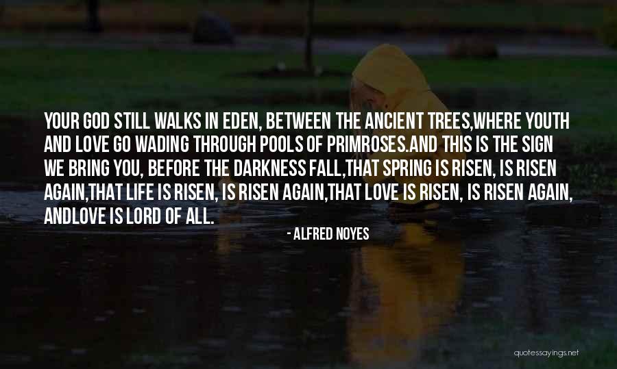 Ancient Trees Quotes By Alfred Noyes