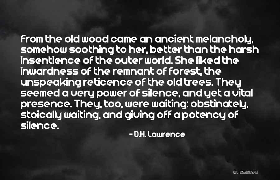 Ancient Trees Quotes By D.H. Lawrence