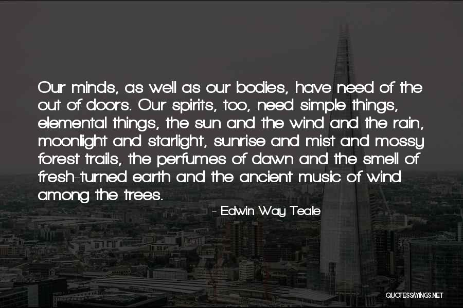 Ancient Trees Quotes By Edwin Way Teale