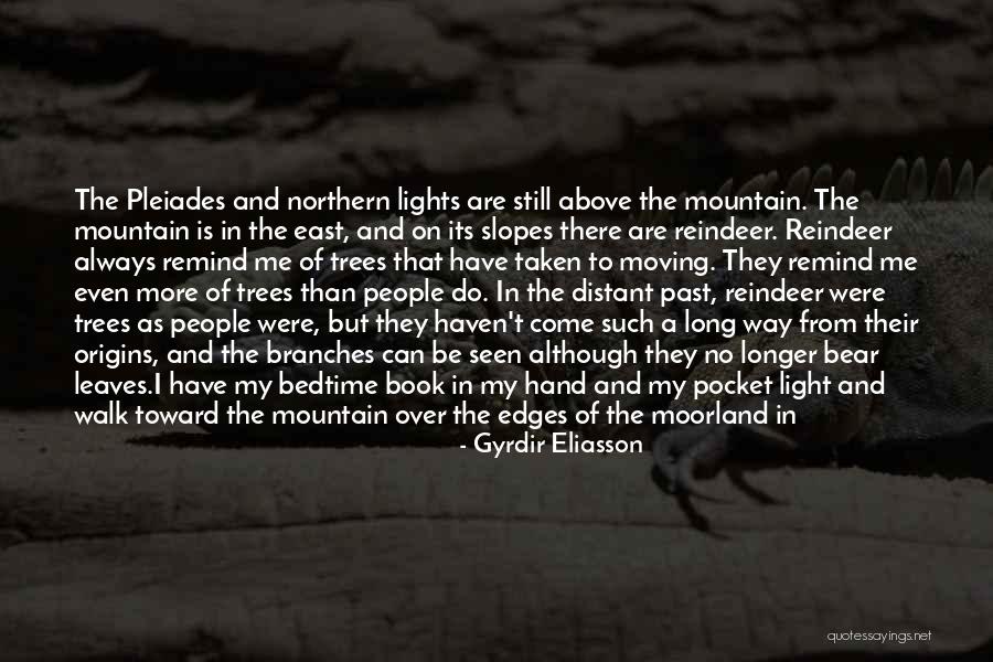 Ancient Trees Quotes By Gyrdir Eliasson Ancient Trees Quotes By Gyrdir Eliasson