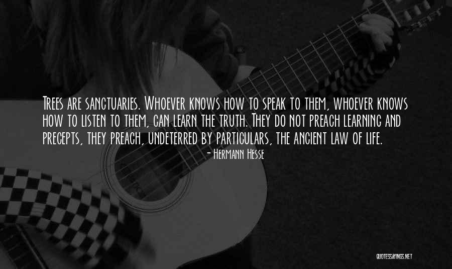 Ancient Trees Quotes By Hermann Hesse Ancient Trees Quotes By Hermann Hesse