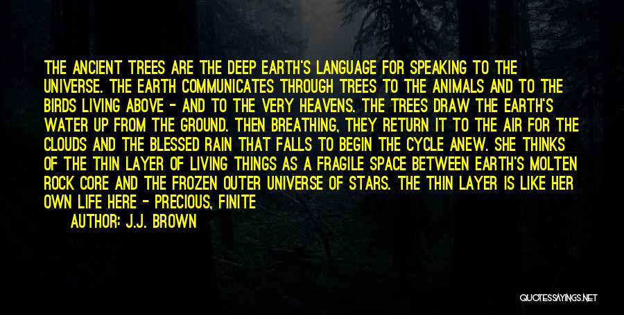 Ancient Trees Quotes By J.J. Brown