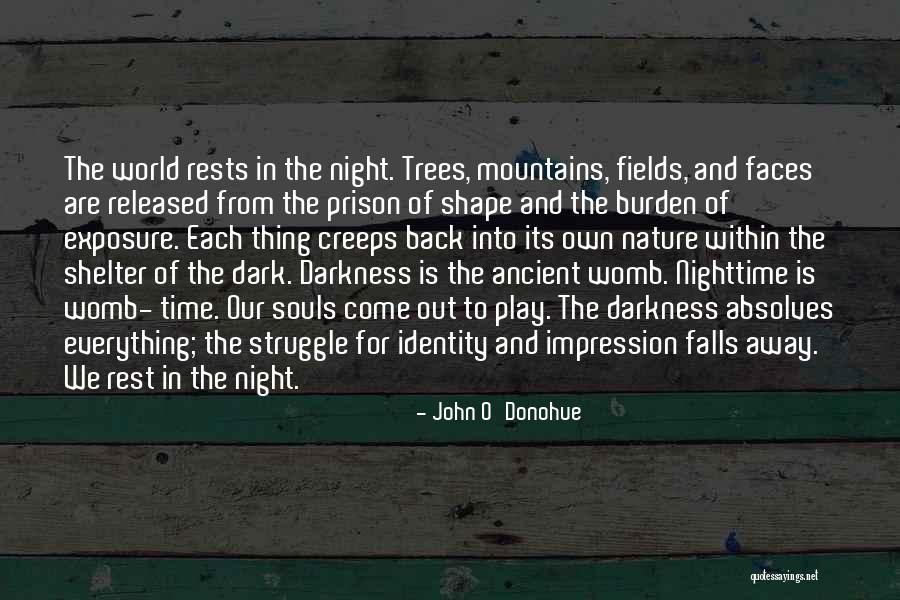 Ancient Trees Quotes By John O'Donohue Ancient Trees Quotes By John O'Donohue