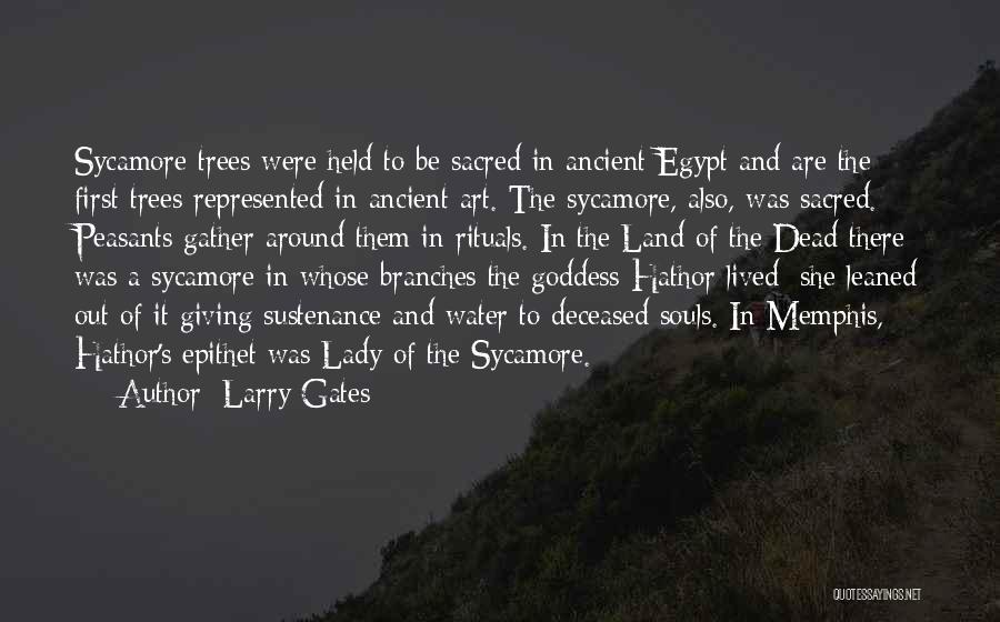 Ancient Trees Quotes By Larry Gates