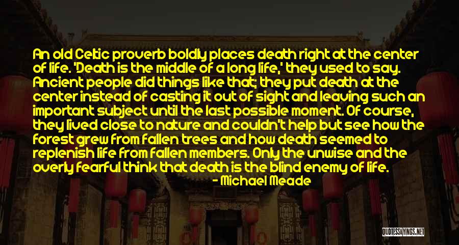 Ancient Trees Quotes By Michael Meade