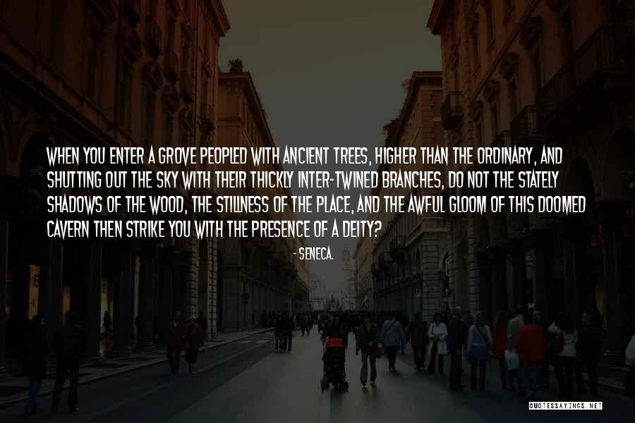 Ancient Trees Quotes By Seneca. Ancient Trees Quotes By Seneca.