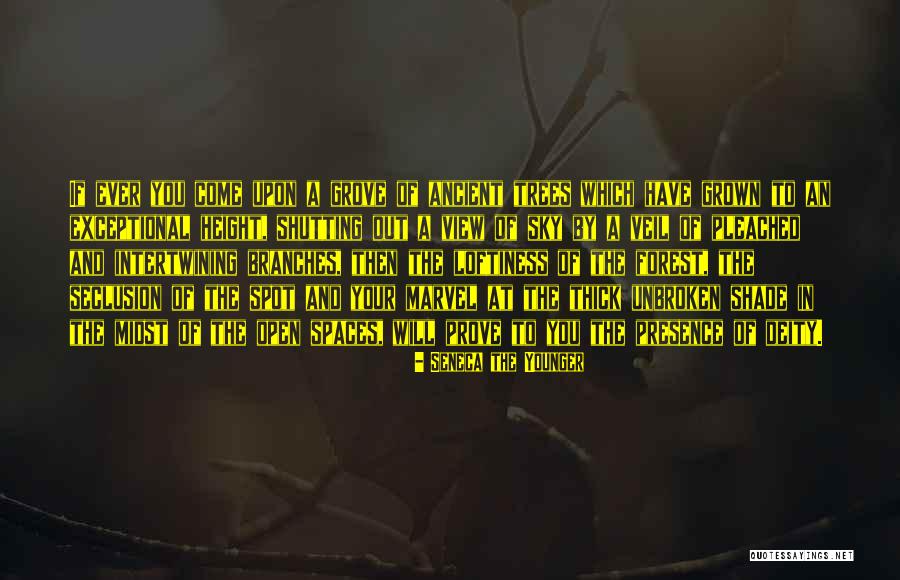 Ancient Trees Quotes By Seneca The Younger Ancient Trees Quotes By Seneca The Younger
