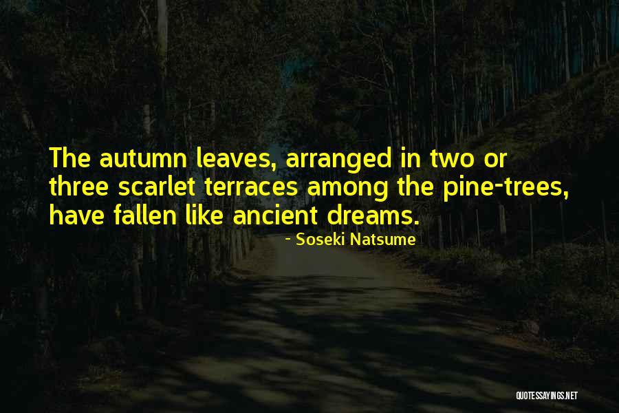 Ancient Trees Quotes By Soseki Natsume