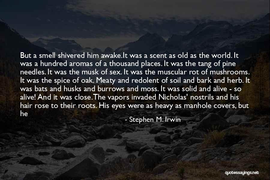 Ancient Trees Quotes By Stephen M. Irwin