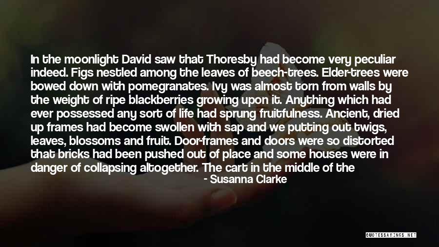 Ancient Trees Quotes By Susanna Clarke Ancient Trees Quotes By Susanna Clarke