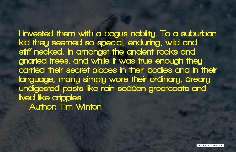 Ancient Trees Quotes By Tim Winton