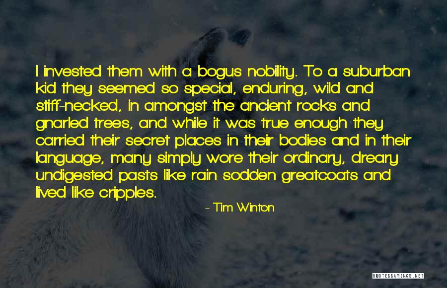 Ancient Trees Quotes By Tim Winton