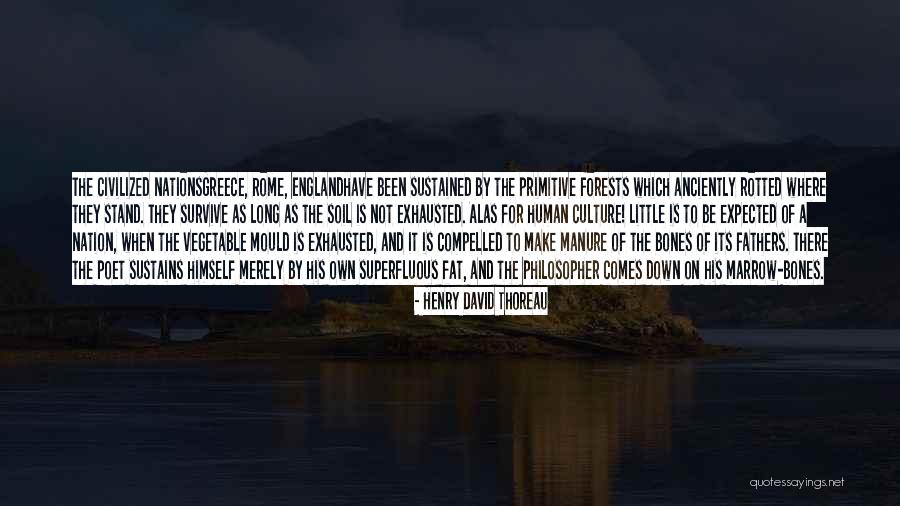 Anciently Quotes By Henry David Thoreau Anciently Quotes By Henry David Thoreau
