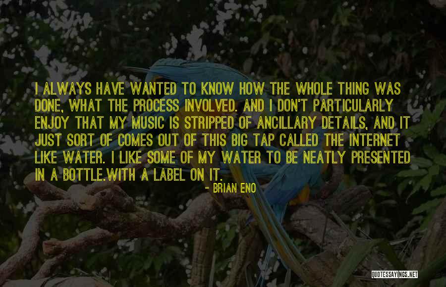 Ancillary Quotes By Brian Eno Ancillary Quotes By Brian Eno
