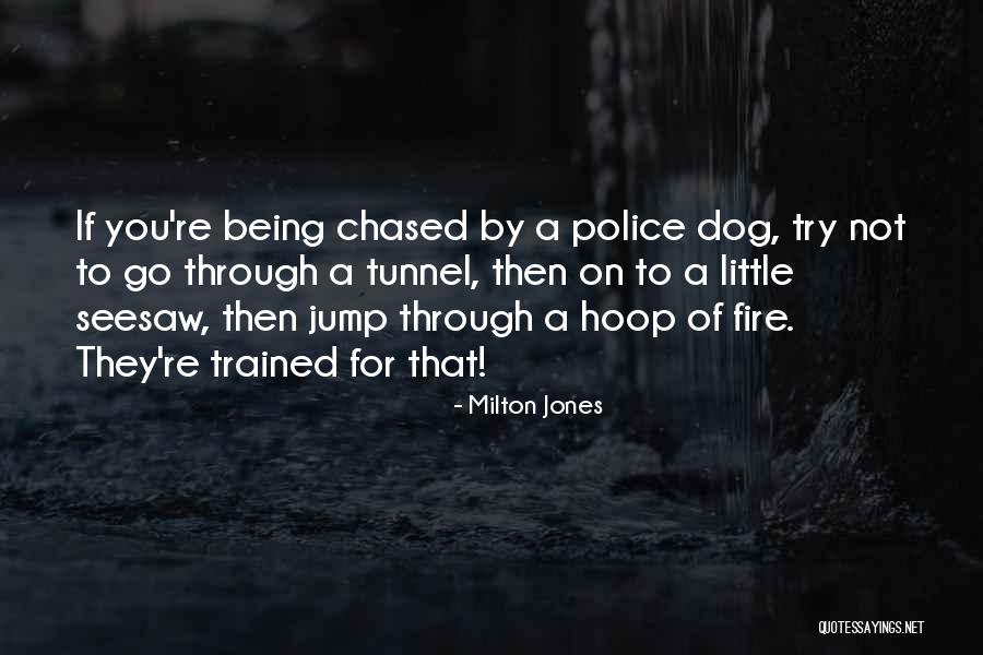 Ancoradouro Significado Quotes By Milton Jones Ancoradouro Significado Quotes By Milton Jones