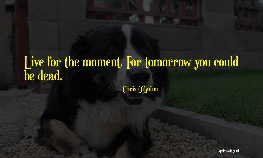 And Couture Quotes By Chris O'Guinn And Couture Quotes By Chris O'Guinn