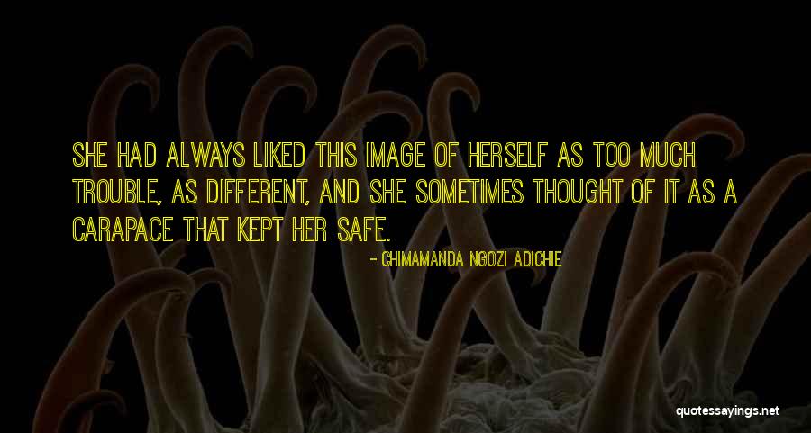 And Quotes By Chimamanda Ngozi Adichie