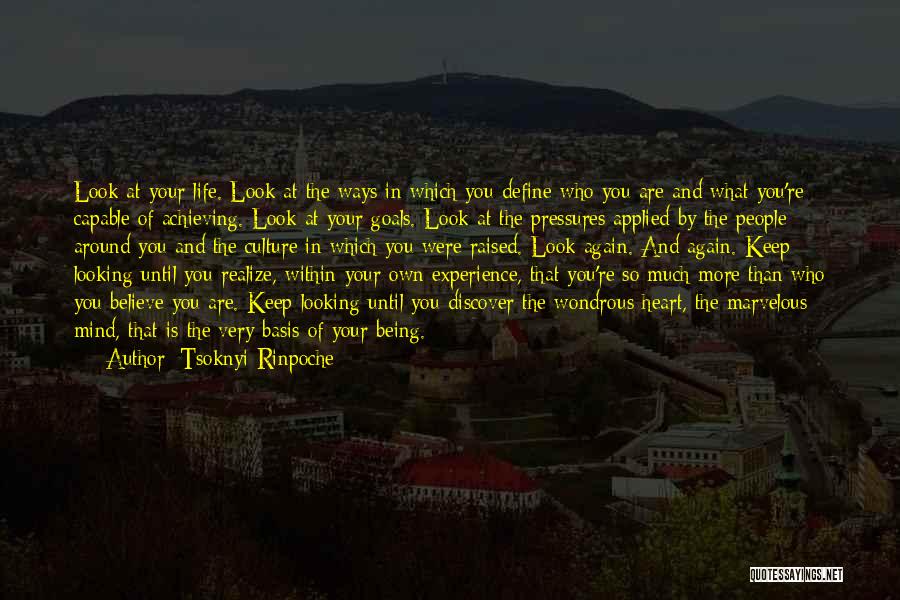 And So Are You Quotes By Tsoknyi Rinpoche