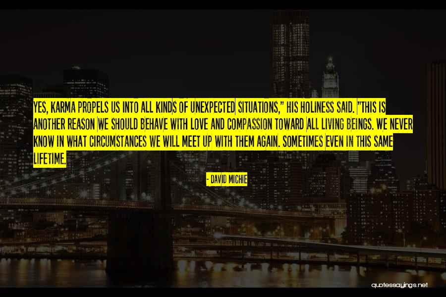 And We Meet Again Quotes By David Michie And We Meet Again Quotes By David Michie