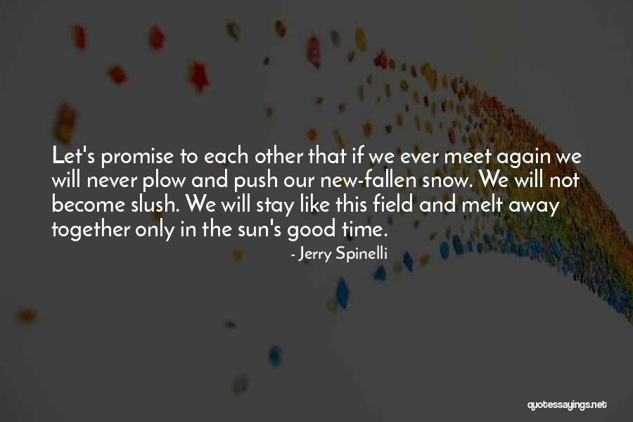And We Meet Again Quotes By Jerry Spinelli And We Meet Again Quotes By Jerry Spinelli