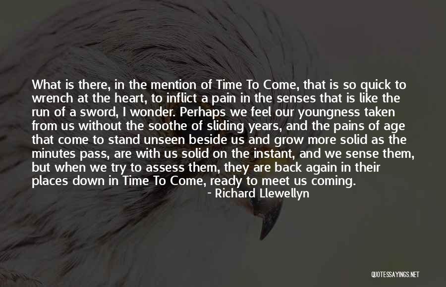 And We Meet Again Quotes By Richard Llewellyn And We Meet Again Quotes By Richard Llewellyn