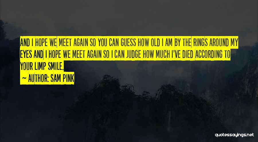 And We Meet Again Quotes By Sam Pink